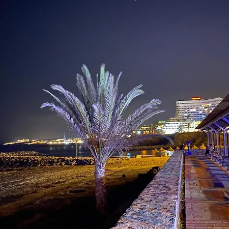 Las Flores Studio 3 Playa de las Americas  Exterior photo